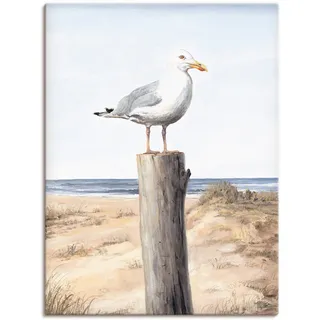Artland Wandbild "Möwe" Vögel 1 Stk. tlg. als Alubild, Leinwandbild, Poster in verschied. Größen, farbe bild(er): weiß