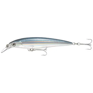Rapala Angelköder X-Rap Saltwater 12 cm 22 g