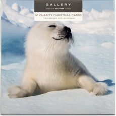 Hallmark-Weihnachtskarten mit Polartieren, 10 Karten in 2 Foto-Designs