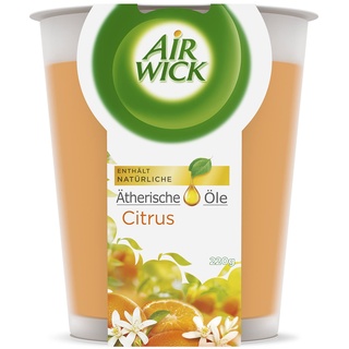 Air Wick Wohlfühl-Duftkerze XL im Glas – Duft: Citrus – Bis zu 40 Stunden Brenndauer – Enthält natürliche ätherische Öle – 220 g Duftkerze