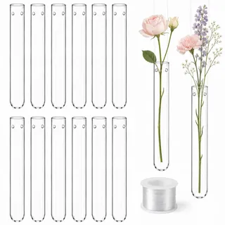 Forbabe 12 Stück 20 x 150mm Reagenzgläser Vase für Blumen zum hängen | Reagenzglas Kleine Blumenvase mit Loch und 7.6m Aufhängungslinie, Blumen Deko Hängevase für Hochzeiten Wohndekoration Party