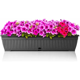 BigDean Blumenkasten 80 cm mit Untersetzer und Wasserspeicher – bruchsicherer Pflanzkasten für innen und außen – Made in Europe