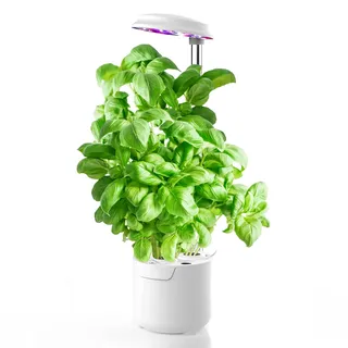 amzWOW Dafne smart Garden, kräutergarten Indoor, hydroponic System, kräutertopf mit bewässerungssystem mit LED-Licht für Pflanzenwachstum, Verstellbarer Höhe und automatischem Timer (Weiß)