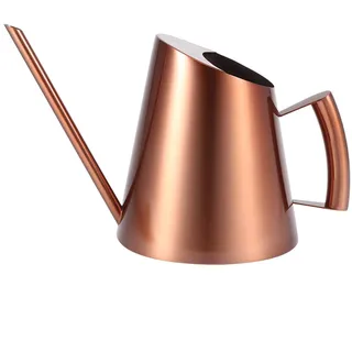 Gießkanne Kupfer 1.3l, Edelstahl Gießkanne für Zimmerpflanzen mit Langem Auslauf, Präzisions Giesskanne Zimmerpflanzen für Innenbereich und Balkon, Modernes Design