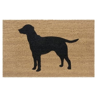 Hanse Home Kokos Fußmatte für Innen und Außen - Schmutzfangmatte Natur, Kokosmatte Outdoor Hund, Fußabtreter Wetterfest und rutschfest für Flur, Terrasse, Eingangsbereich - 45x75cm