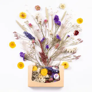 Kunstharz.Art Echte & natürliche getrocknete Blumen als Geschenk zum Muttertag & Ostern, zum Basteln mit Resin oder Osterdekoration, Blüten und Trockenblumen Set, Gastgeschenk für Hochzeit (Natur)