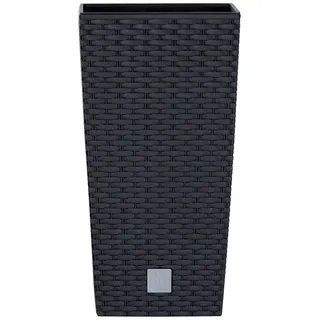 Prosperplast Rato 26,5 x 26,5 x 50 cm Anthrazit