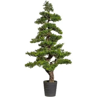 Creativ green »Bonsai Teeblatt«, grün,