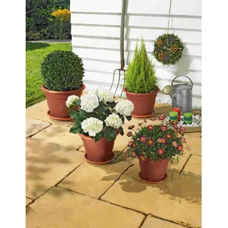 Alpfa Blumentopf-Set inkl. Untersetzer - 8-teilig terracotta