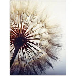 Artland Glasbild »Große Pusteblume« Blumen 1 Stk. tlg. in verschiedenen Größen, blau