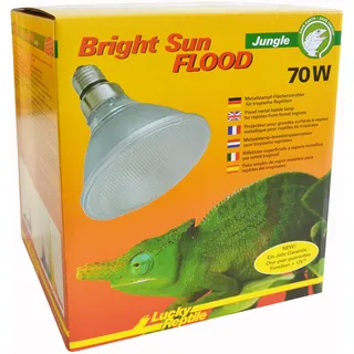 Lucky Reptile Bright Sun Flood Jungle 1 St