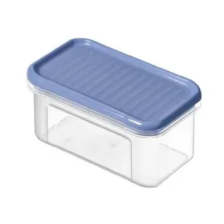 Rotho DOMINO Vorratsdose, horizon blue, Robuste Frischhaltedose aus Kunststoff , 1 Dose, Fassungsvermögen: 500 ml