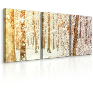 Muralo Leinwandbilder 3-es Set Wald Bäume 3D , Textil , Baum/Pflanze/Natur , Rechteckig , 90x40 cm , Bilder & Rahmen, Bilder