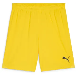 Puma teamGOAL Shorts Männlich