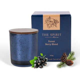 The Spirit Store Weihnachts-Duftkerze Winter | Geschenk für Frauen Freundin zum Geburtstag | Wellness-Geschenk Natürlich Soja Groß