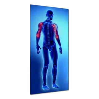 Wallario selbstklebende Duschrückwand 80 x 180 cm mit Motiv Anatomie Mensch Oberarmknochen - Wandverkleidung mit Hochglanzlaminat in Glasoptik