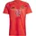 FC Bayern München Heimtrikot 2024/25 Herren Gr. XS