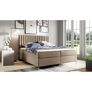 GUTTO Boxspringbett KARAMELL 90x200 Bett mit Bettkasten und eingebauter Matratze + Topper Beige Velour Samtstoff Velvett goldene Beine - Beige
