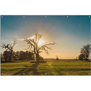 Wallario Outdoor-Poster für Garten oder Balkon, Motiv Alte knochige Bäume bei Sonnenuntergang, in ca. 120 x 180 cm - Gelb