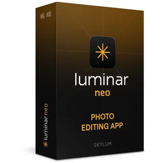 Skylum Luminar NEO ESD 1 Benutzer 2 Geräte Win