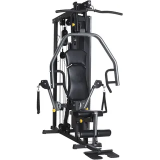 Horizon Fitness Torus 3 Kraftstation 1 St