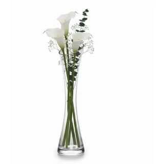 volumoon Blumenvase Glas 25cm Hoch, Klarglas Vase, Vase Schmal Hoch Glas, Dekorative Vases für Pampasgras, Tulpen, Orchideen, Rosen, Trockenblume, Wohnzimmer, Büro, Esstisch (Transparente)