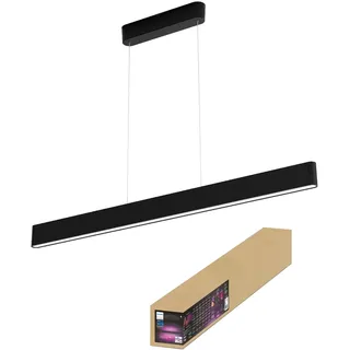 Philips Ensis 2-flg. 130 cm schwarz modern