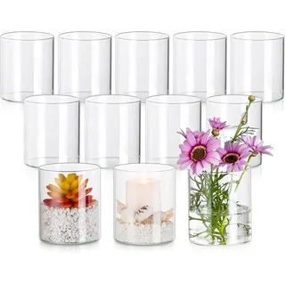 ZOFUN 12 Stück Vase Glas 10cm Hohe Glasvasen für Tischdeko,10 x 8,5 cm Glasvase Gross Klar Glasvase Zylinder Runde, Blumen Vasen Glaszylinder Vase Kleine Vasen für Tischdeko, Rosen, Tulpen