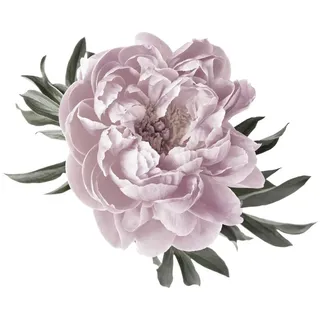 Queence "Amelie", rosa, Blume, Blüte, selbstklebend,