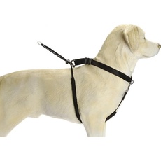 Beeztees BZ GENTLE WALKER SCHWZ  GROSS (L, Hund), Halsband + Leine