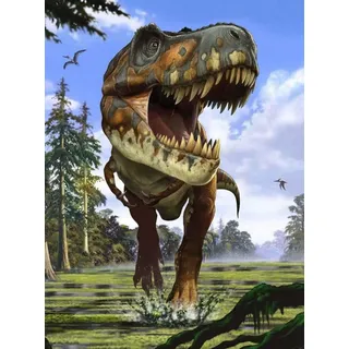 Komar Dino Vlies Fototapete - Tyrannosaurus Rex - Größe: 184 x 248 cm (Breite x Höhe) - Dinosaurier, Dino, Jurrasic, Kindertapete, Kinderzimmer, Tapete - XXL2-532, Bunt