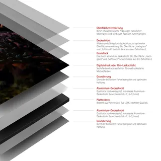 Schulte Duschrückwand DecoDesign Motiv Schildkröte 210 cm x 90 cm