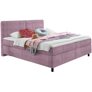 Hom`in BOXSPRINGBETT Lila - 180x200 cm