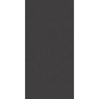 HÜPPE EasyStyle Wandverkleidung 100 × 255 cm, ES010142V, Farbe: Autumn anthracite