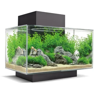 Fluval Edge 2.0 Nano Aquarium, 23L, schwarz, 1 Stück (1er Pack)