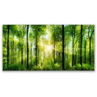 Tulup Leinwandbild 140x70 cm Sonnenstrahlen im Wald , Textil , 140x4 cm , Bilder & Rahmen, Bilder, Leinwandbilder