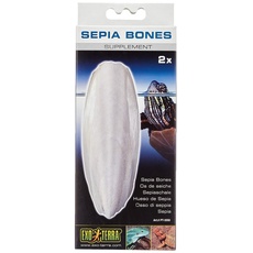Exo Terra Sepia Bones, Sepiaschale, schwimmfähig, Kalziumquelle, ideal für Schildkröten und alle Eidechsenarten, 2er Pack