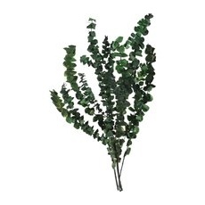 Blumenbündel Eukalyptus, L:45cm, grün