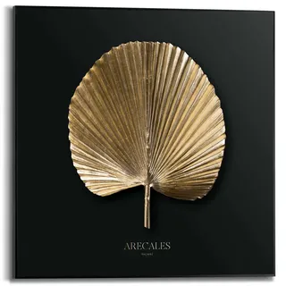 Poster REINDERS "Areca Gold", gold (farbe bild(er): gold), B:50cm H:50cm T:1,6cm, MDF, Bilder, Poster