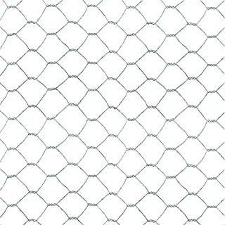 TENAX EXAMET 25, verzinktes Metallgitter 1,00x10 m Silber für Käfige und Tiergehege (Hühner, Hasen, Vögel), kleine Zäune und Handwerksarbeiten