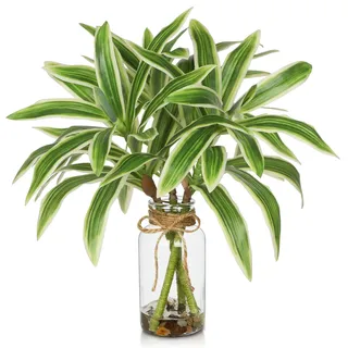 Oairse 40cm Künstliche Dracaena-Pflanze Kunstpflanze in Vase Dekorative Gefälschte Topfpflanzen, Künstliche Pflanze Tropical Zimmerpflanze für Zuhause, Badezimmer, Küche, Dekoration