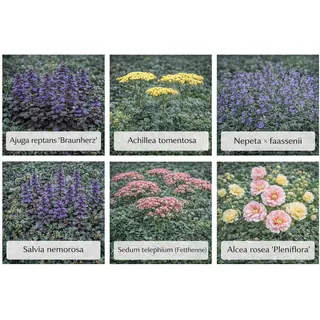 Themenset NaturHarmonie Set à 18 Stück Topf ca. 9 cm
