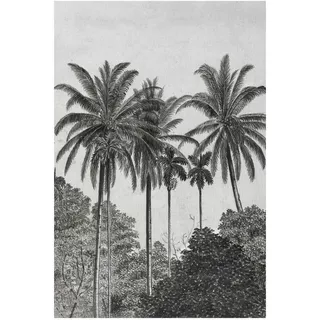 Art for the home Fototapete Palmen 300 x 200 cm