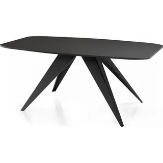 WFL GROUP Foster 160 x 76 x 80 cm schwarz