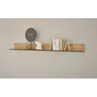 Home Affaire Wandregal Hängeregal 170 x 17 x 15 cm Schwarz