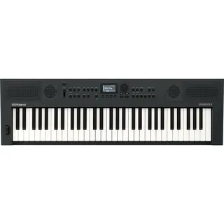 Roland Go:Keys 5 Graphite