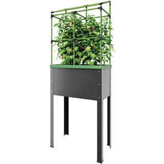 Bio Green Metall-Hochbeet City Jungle Heidelberg für Innen und Außen | Bewässerungssystem und Rankgitter integriert | Pflanzkübel für Gemüse, Kräuter und Blumen | B 62 x T 32 x H 160 cm