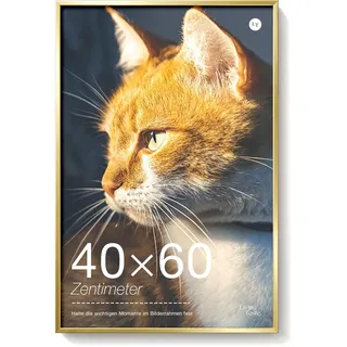 LIVINGTASTE 1 Stück Bilderrahmen 40×60 cm - Aluminium Gold Rahmen | gebürstet mit gehärtetem Glas Fotos Großer Fotorahmen für Poster und Wohnzimmer Kinderzimmer Deko Galerie