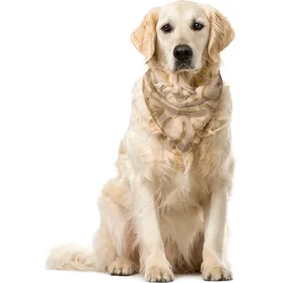 ABAKUHAUS Western Haustier Bandana, Geld Revolver und Punkte, 40x40 cm, Tan Brown