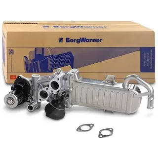 BorgWarner (Wahler) WAHLER AGR-Ventil 710861d